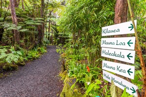 Front of property - Volcano Village Lodge (Volcano)