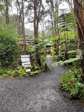 Udsigt fra værelset