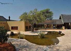 Un patio con piscina, un árbol y un edificio con techo inclinado.
