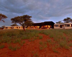 Un lodge de safari con varias habitaciones, un área central abierta y un camino de tierra que conduce al lodge.