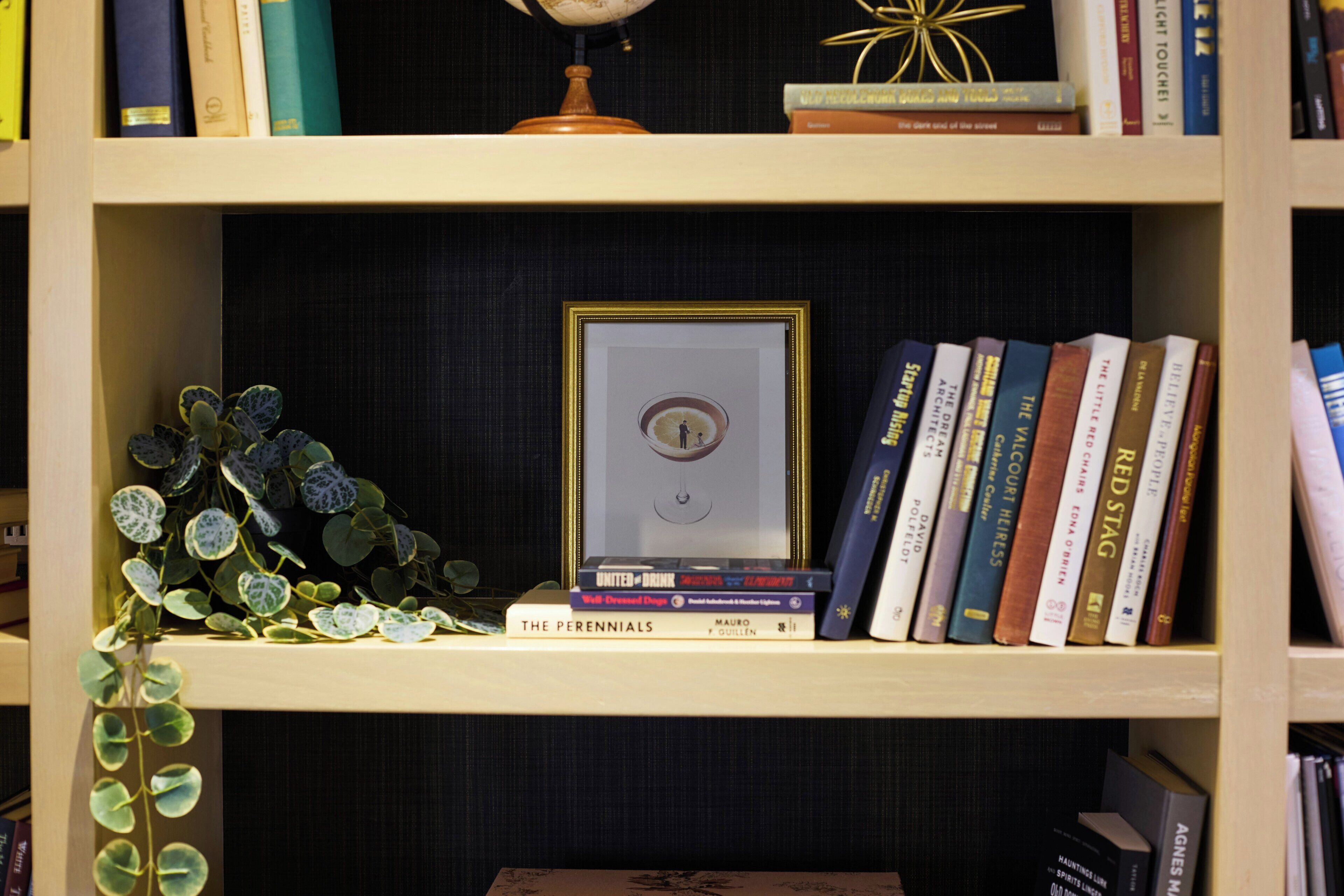 Una estanteria amb llibres, un quadre amb marc i una petita planta.