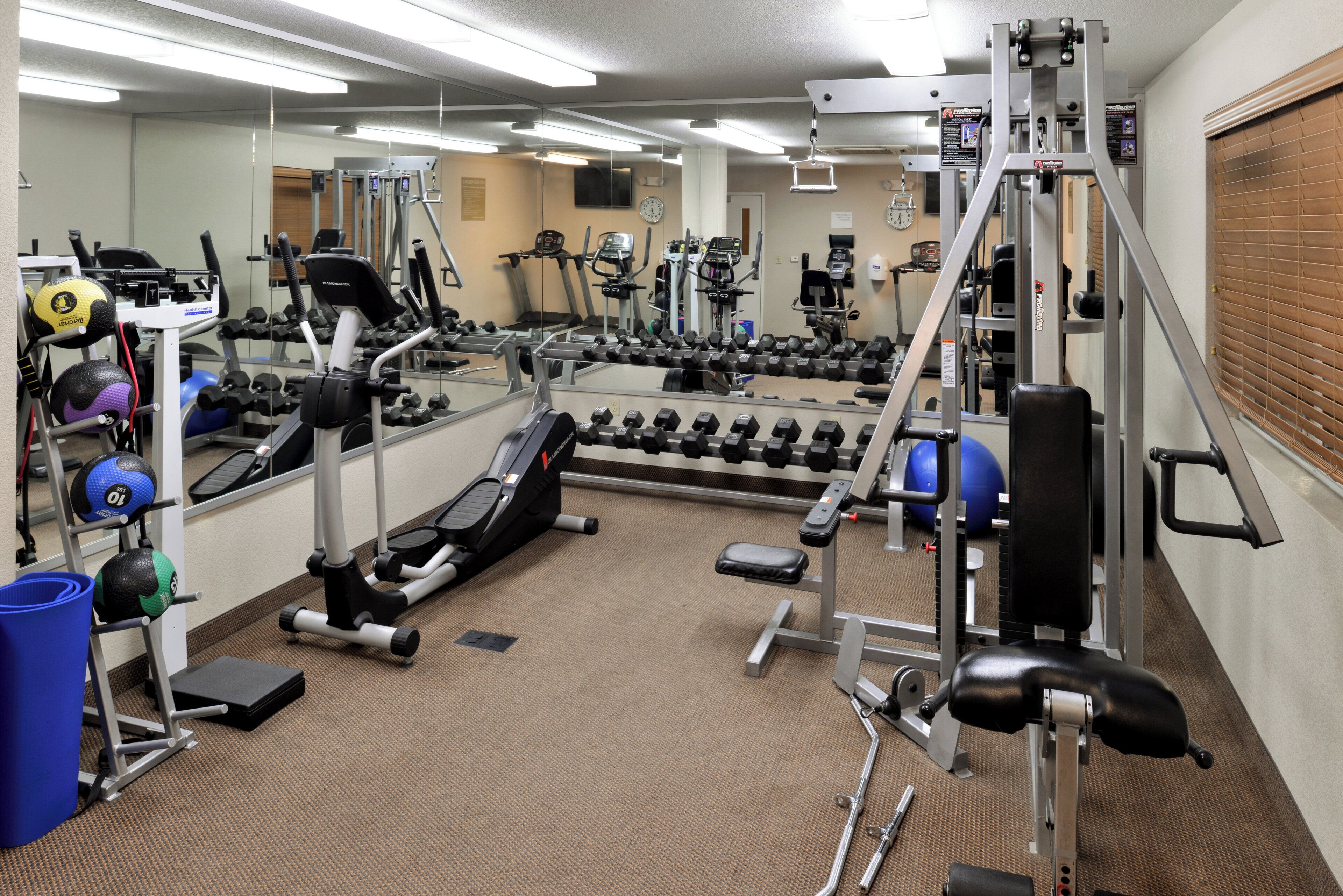 A gym with various exercise equipment, including treadmills, dumbbells, and weight machines.