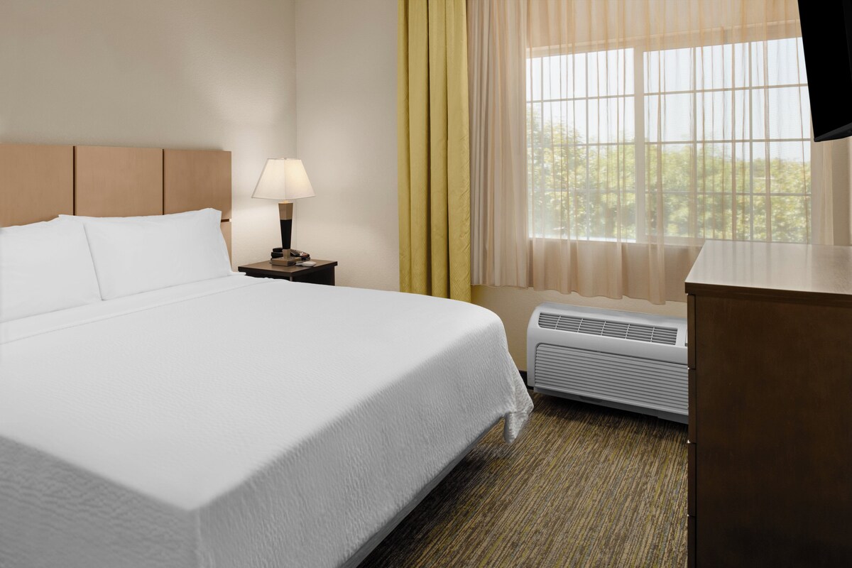 Une chambre d’hôtel avec un grand lit, une table de chevet avec une lampe, un radiateur et une fenêtre avec des rideaux légers.