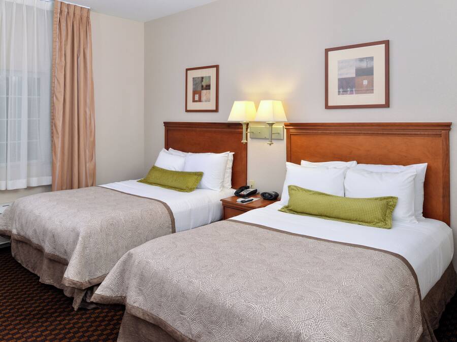 A hotel room with two beds, a nightstand with a lamp, and a framed picture on the wall.