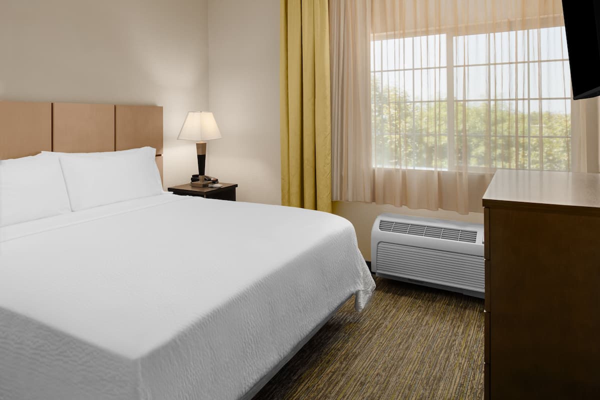A hotel room with a large bed, a bedside table with a lamp, a heater, and a window with sheer curtains.
