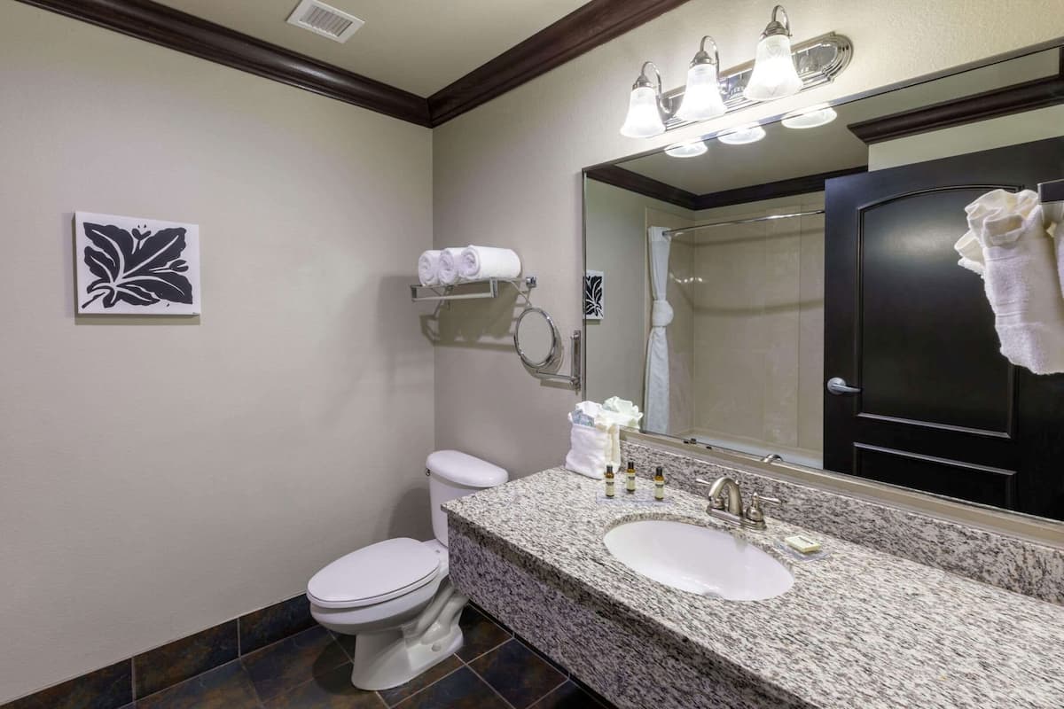 Baño | Tina con regadera, amenidades de baño gratuitas, secadora de cabello