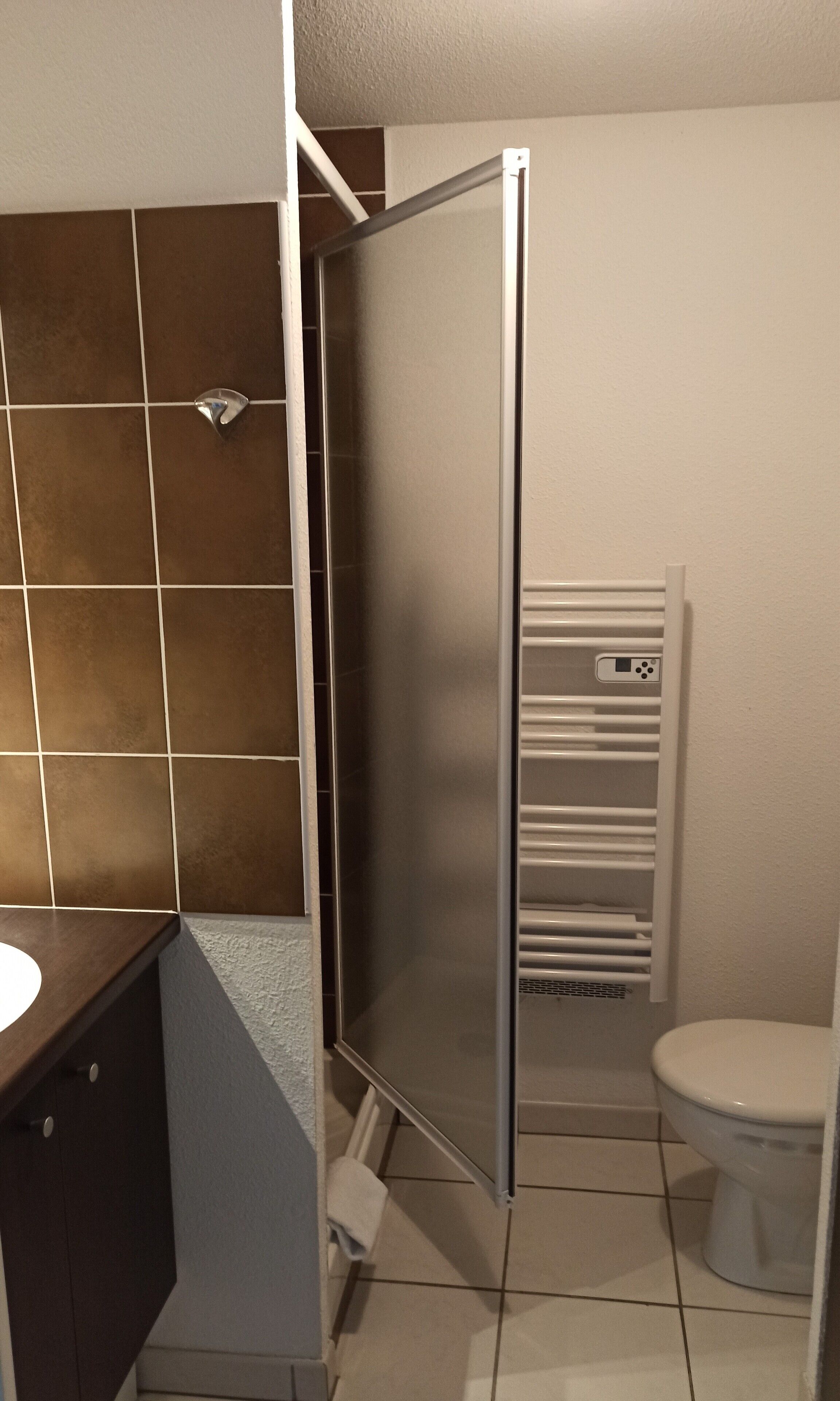 A bathroom with a toilet, a shower enclosure, and a sink area.