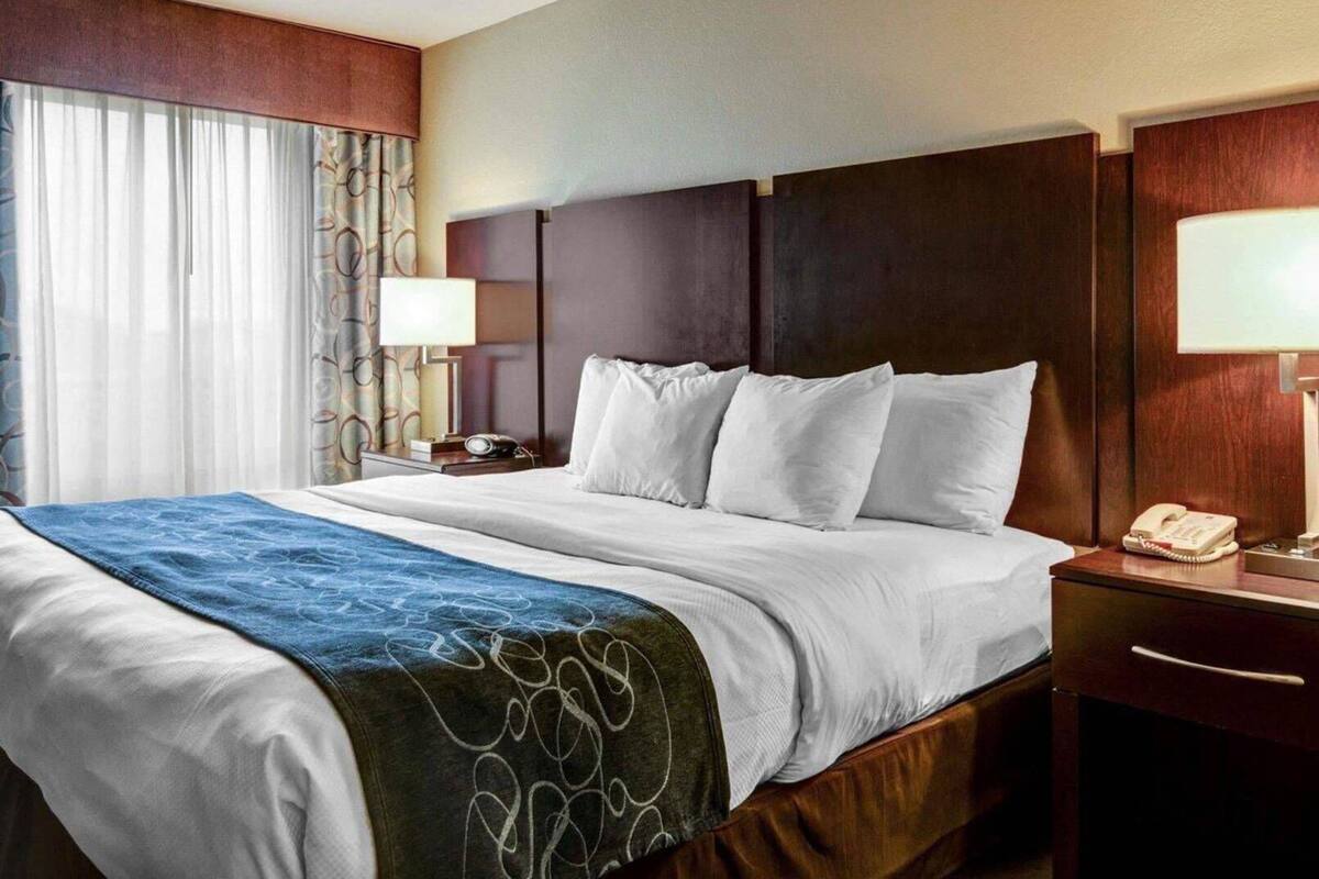 Une chambre d’hôtel avec un grand lit, une table de chevet avec une lampe et un téléphone.