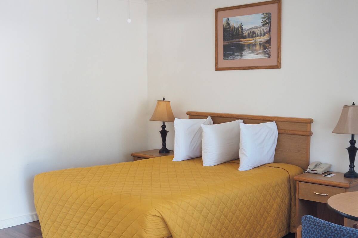 A hotel room with a bed, a ceiling fan, a bedside table with a lamp, a chair, and a painting on the wall.