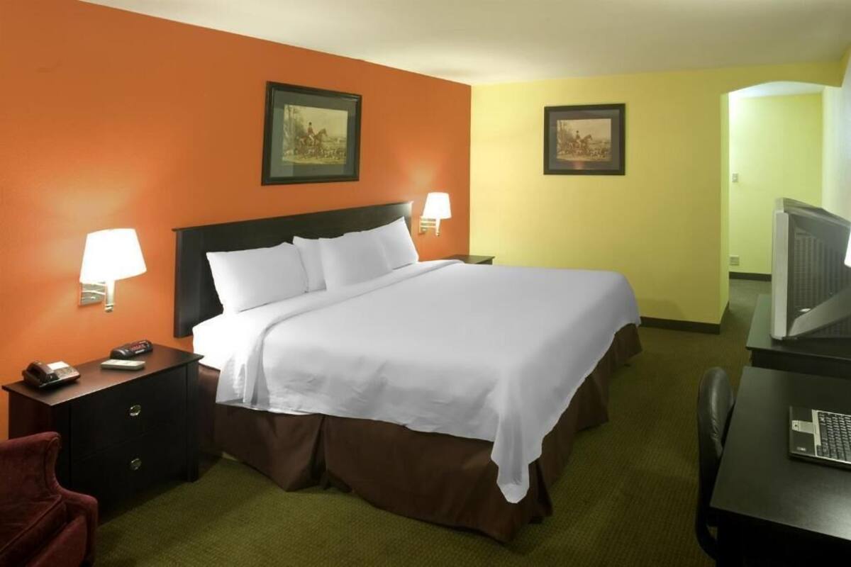 A hotel room with a bed, two bedside lamps, a desk with a computer, and two framed pictures on the walls.