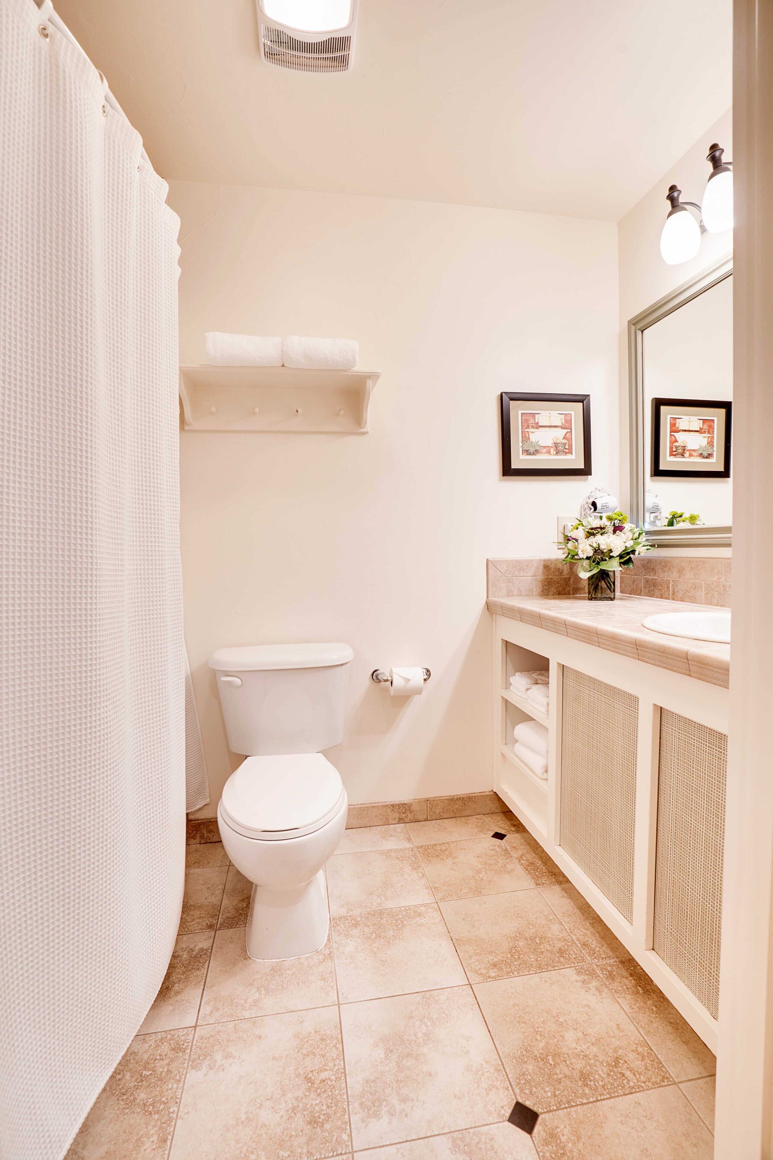 combined shower/bathtub, free toiletries, hair dryer, towels