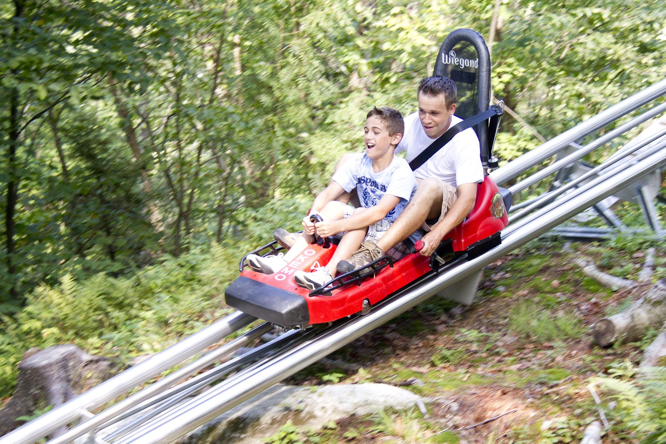 A wooden roller coaster track in a forested area.