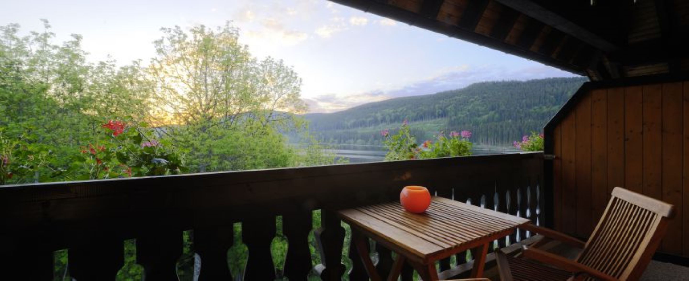 double room (elegance) | view from room