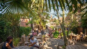 An outdoor patio with wooden tables and chairs, surrounded by greenery and brick buildings. - The Sun Inn (Faversham)