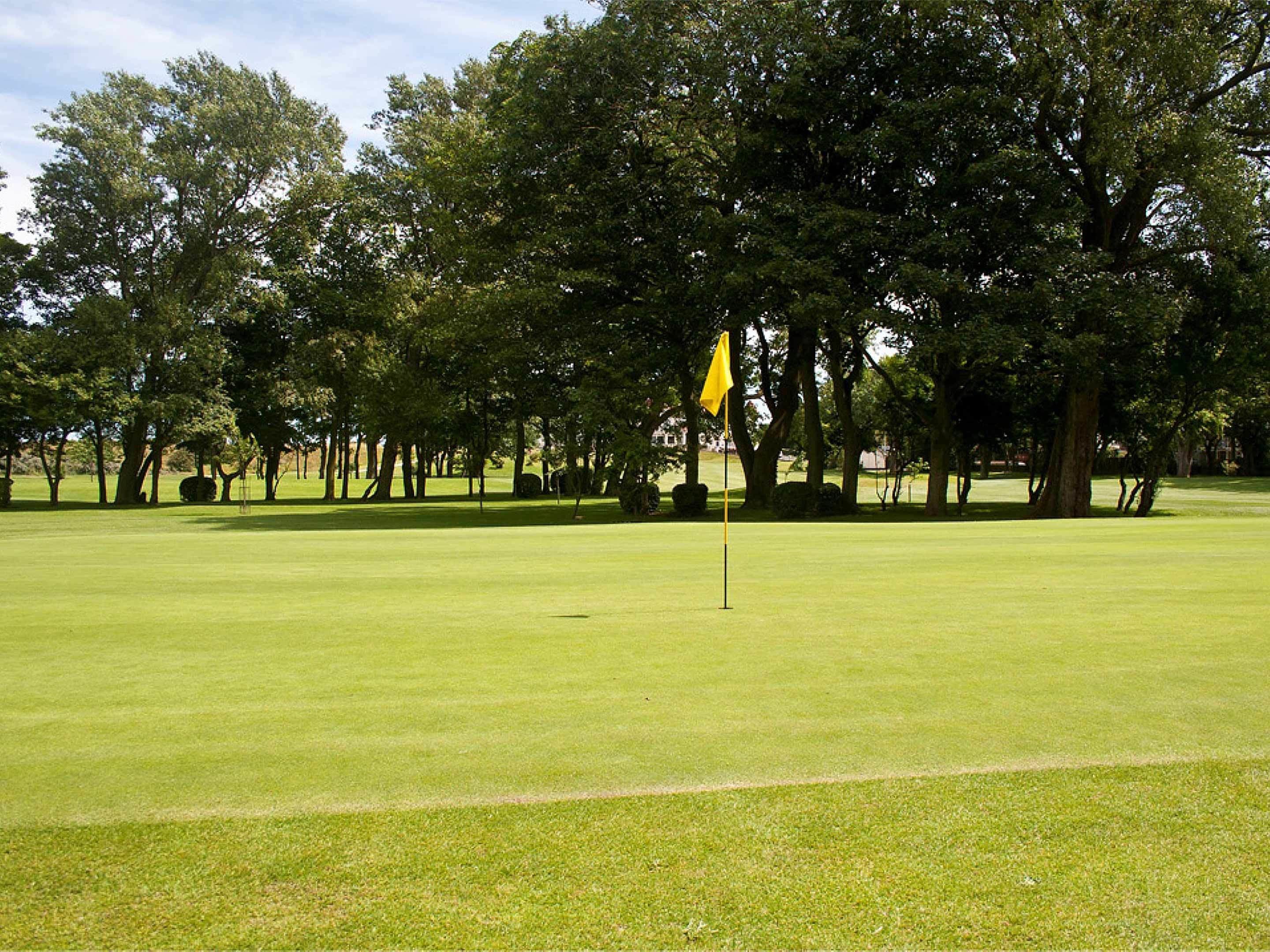 A golf course with a flagstick in the foreground, surrounded by trees and a well-maintained lawn.