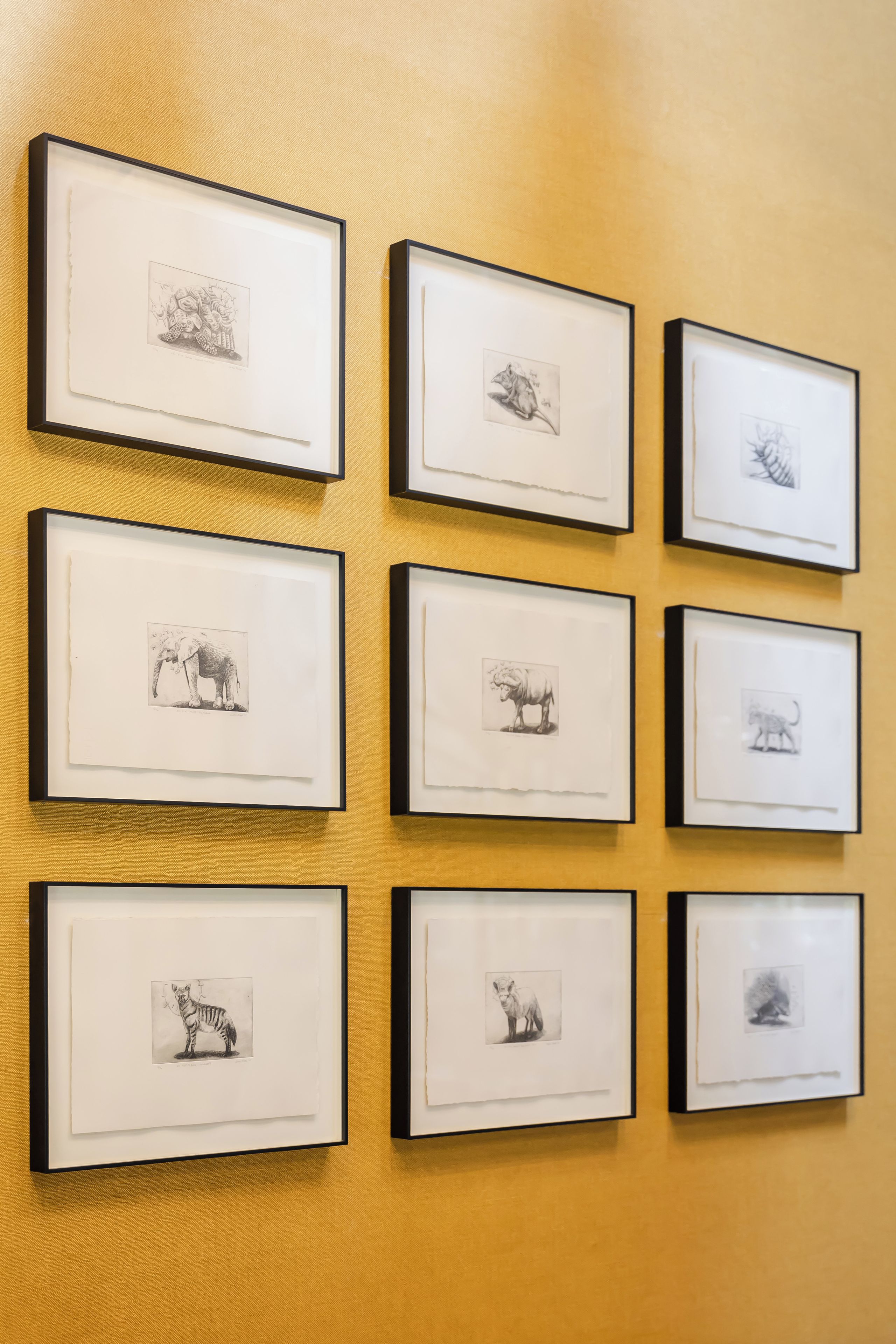 A wall with nine framed black and white animal drawings.