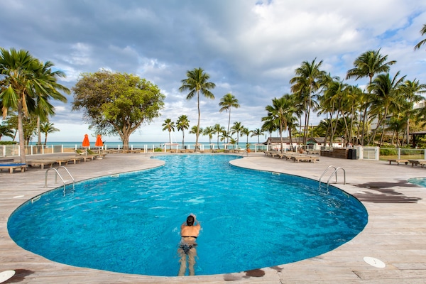 Outdoor pool, sun loungers