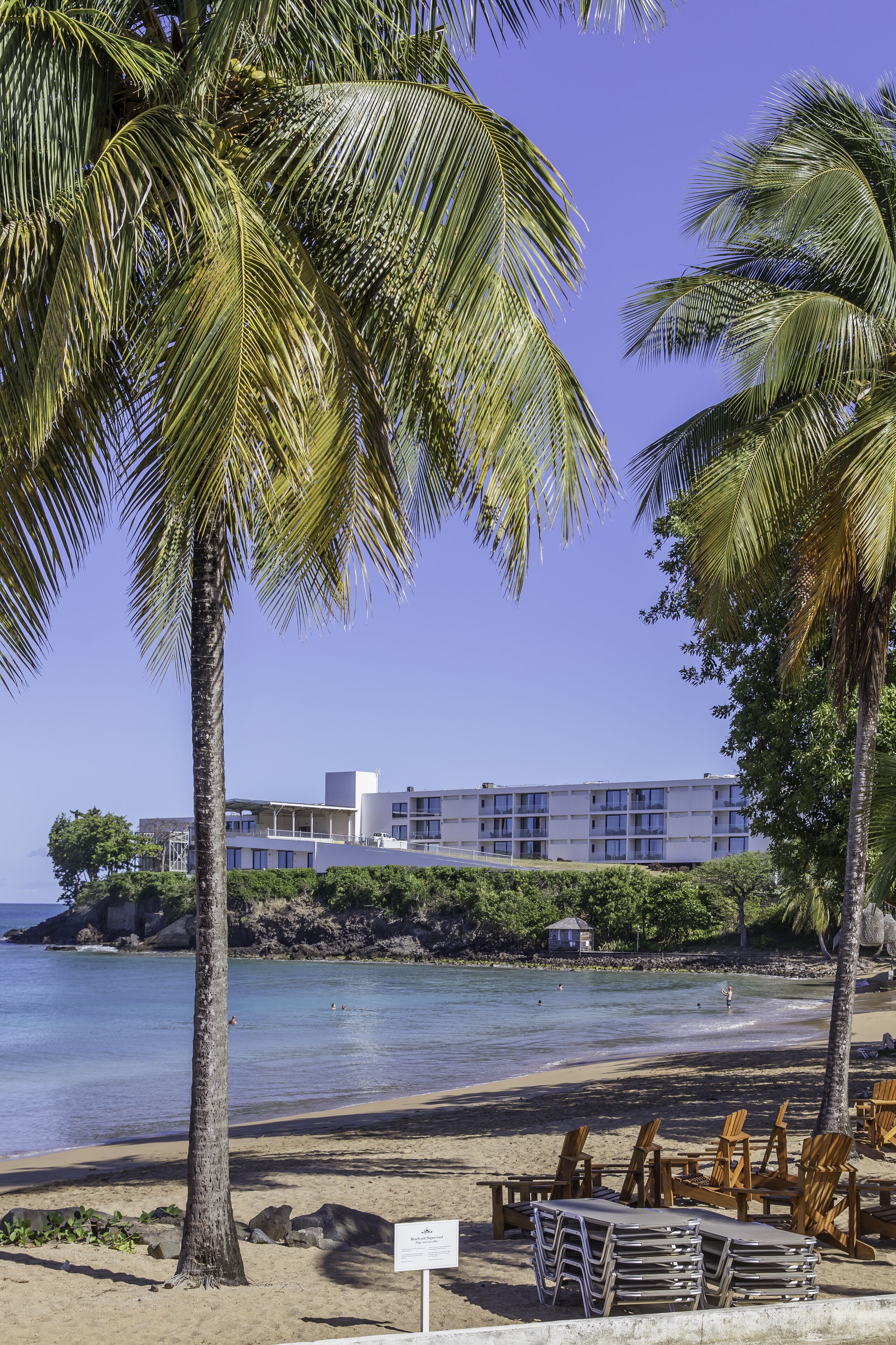 A beachfront hotel with a pool, palm trees, and beach chairs.