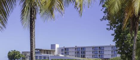 A beachfront hotel with a pool, palm trees, and beach chairs.