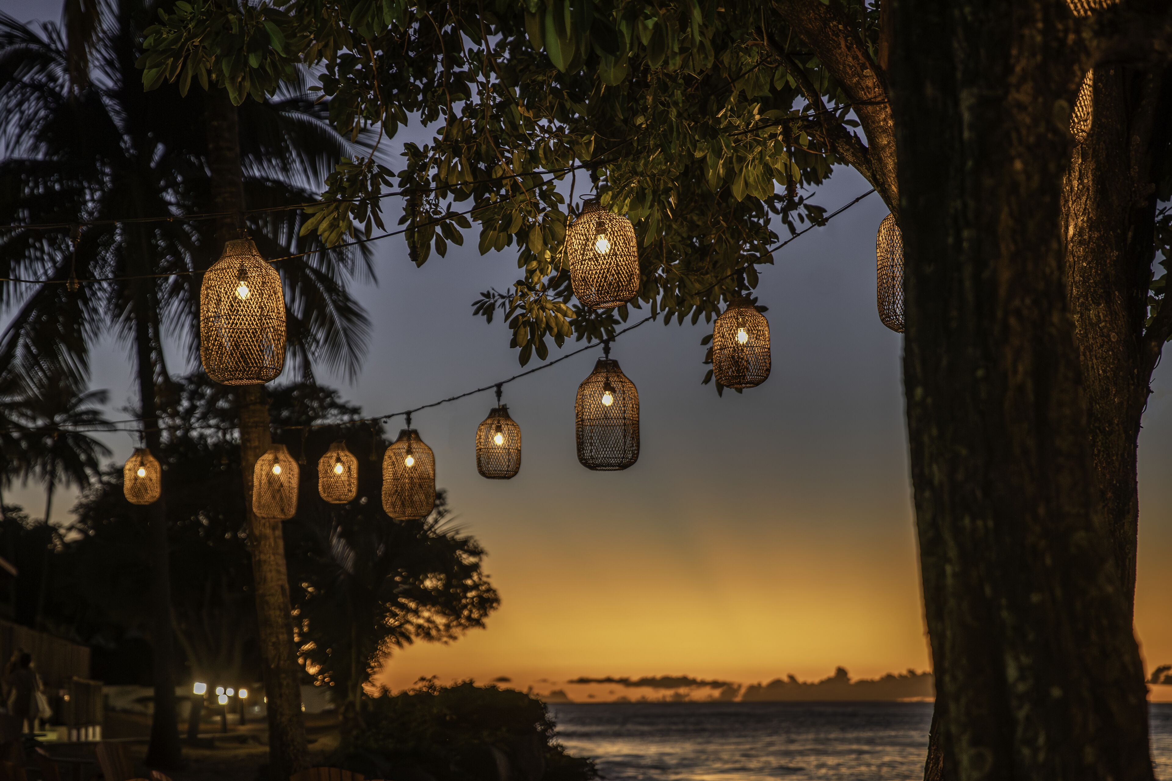String lights hanging from trees against a sunset backdrop.