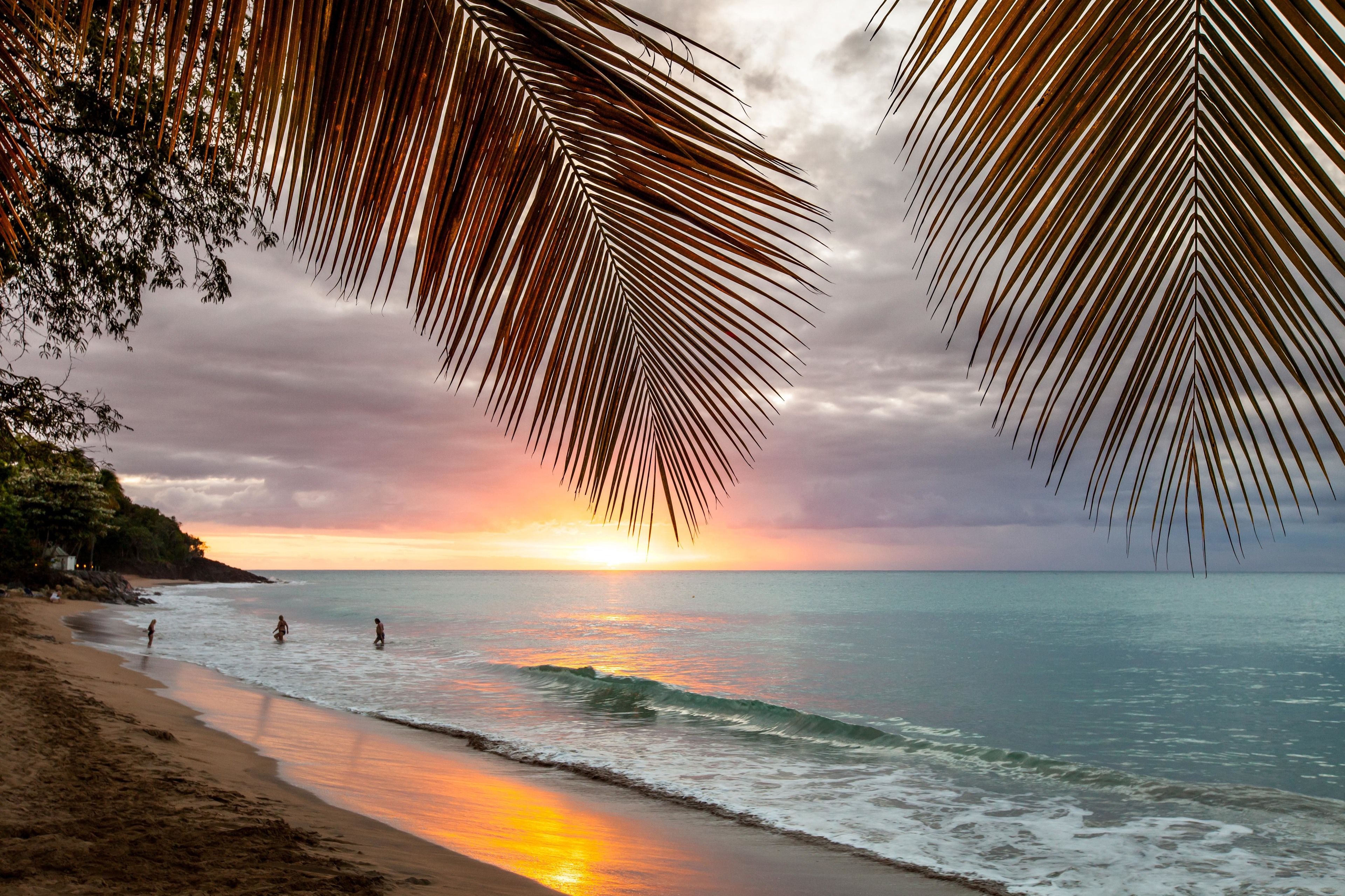 A beach scene with palm leaves framing the view, calm sea, and a sunset.