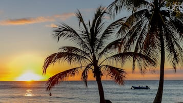 A sunset over the ocean with palm trees and a boat.