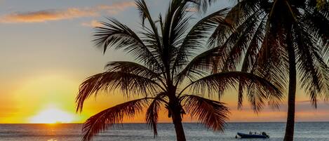 A sunset over the ocean with palm trees and a boat.