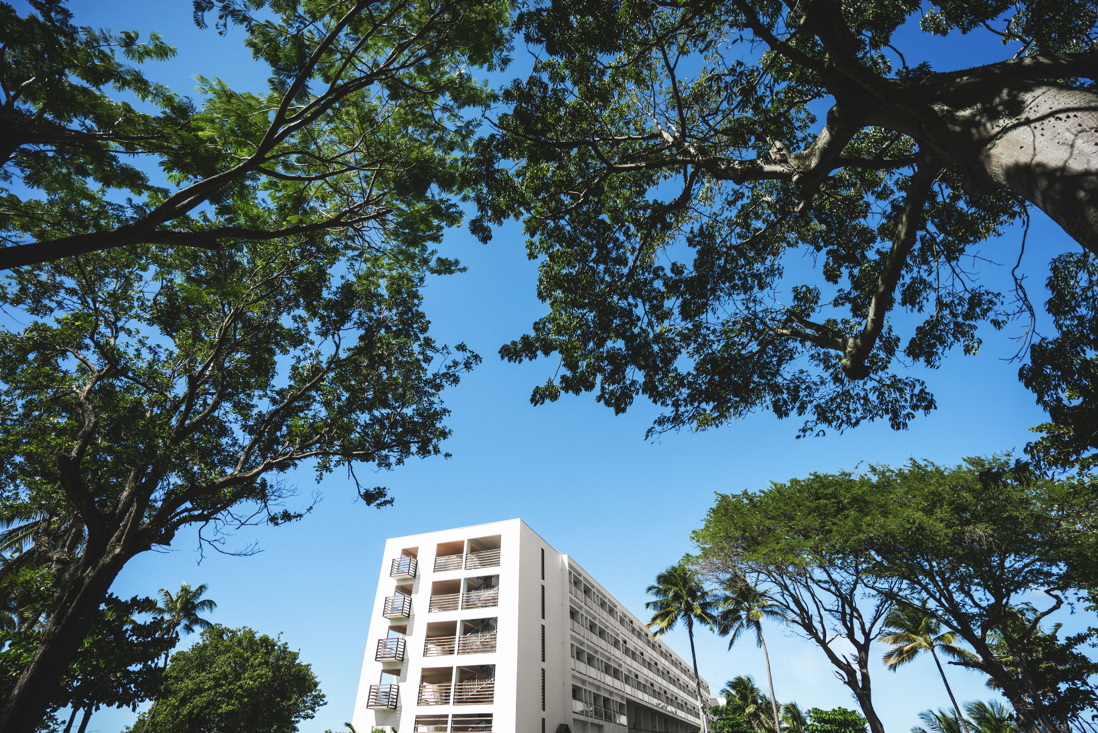 A multi-story building with balconies, surrounded by lush green trees and a clear blue sky.