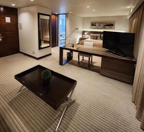 A hotel room with a bed, a TV, a desk with a plant, a mirror, and a carpeted floor. - Hotel los Españoles Plus (Santiago)