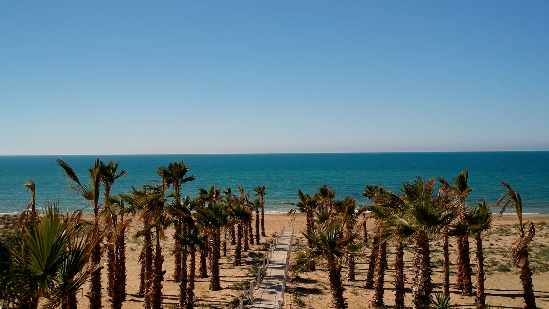 Private beach, sun-loungers, beach umbrellas, beach towels