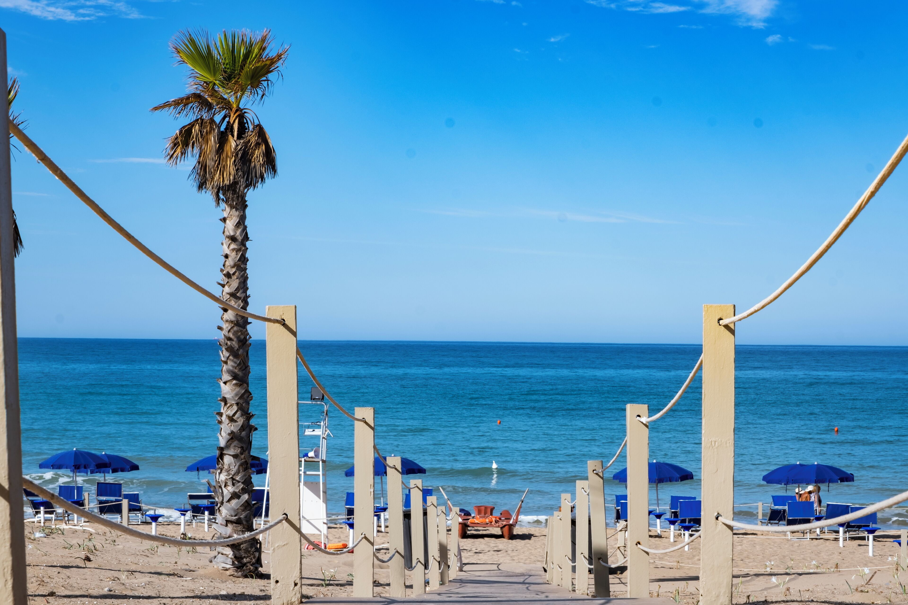 Una spiaggia con una palma, ombrelloni blu e sedie lungo il vialetto.