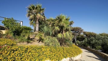Jardín