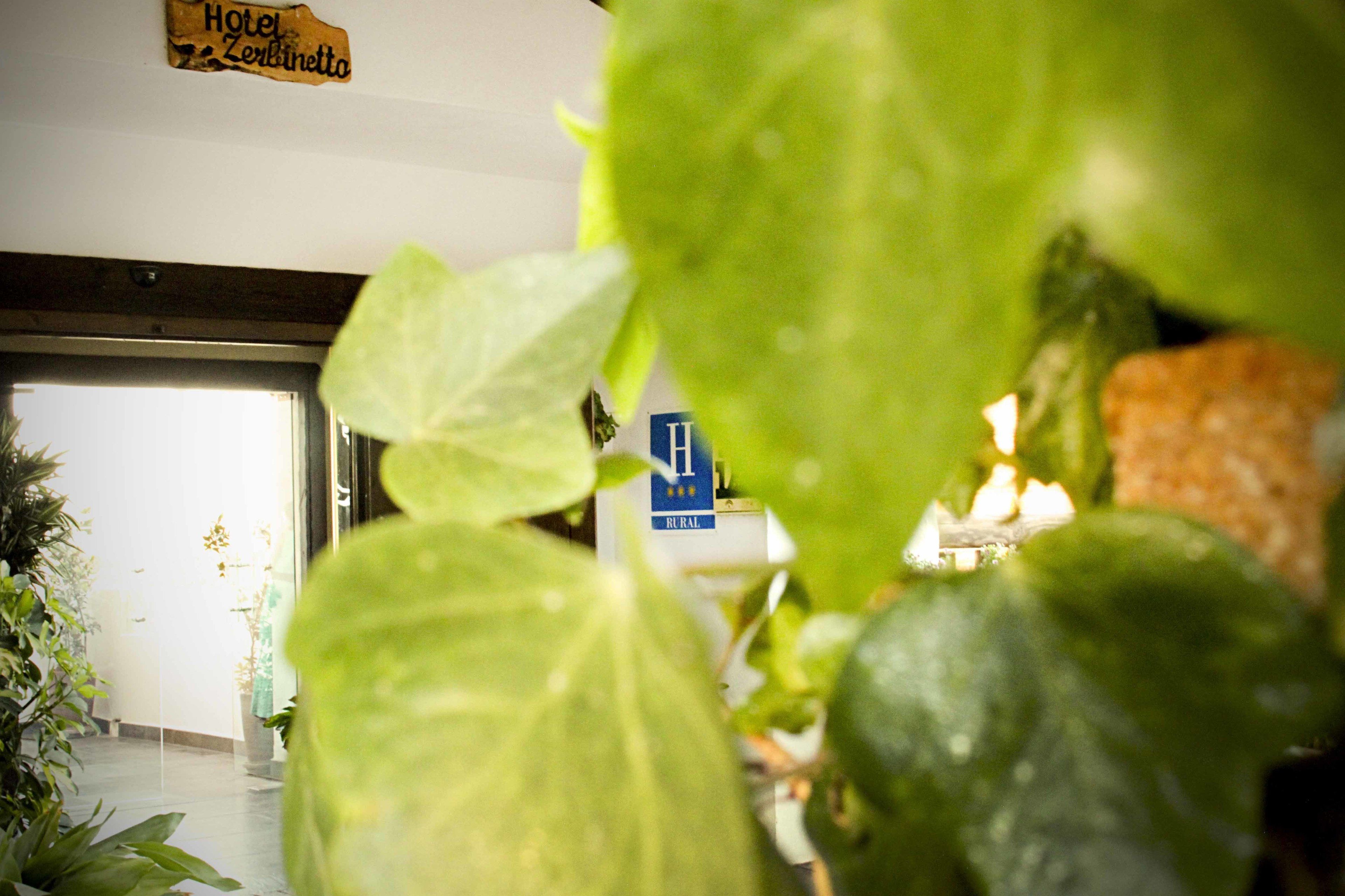 A hotel interior with a sign reading "Hotel Zerbinetta" and a visible door.