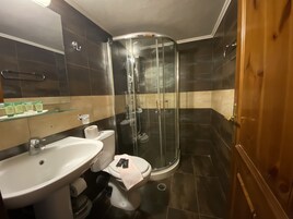 Junior Suite | Bathroom | Shower, free toiletries, hair dryer, towels