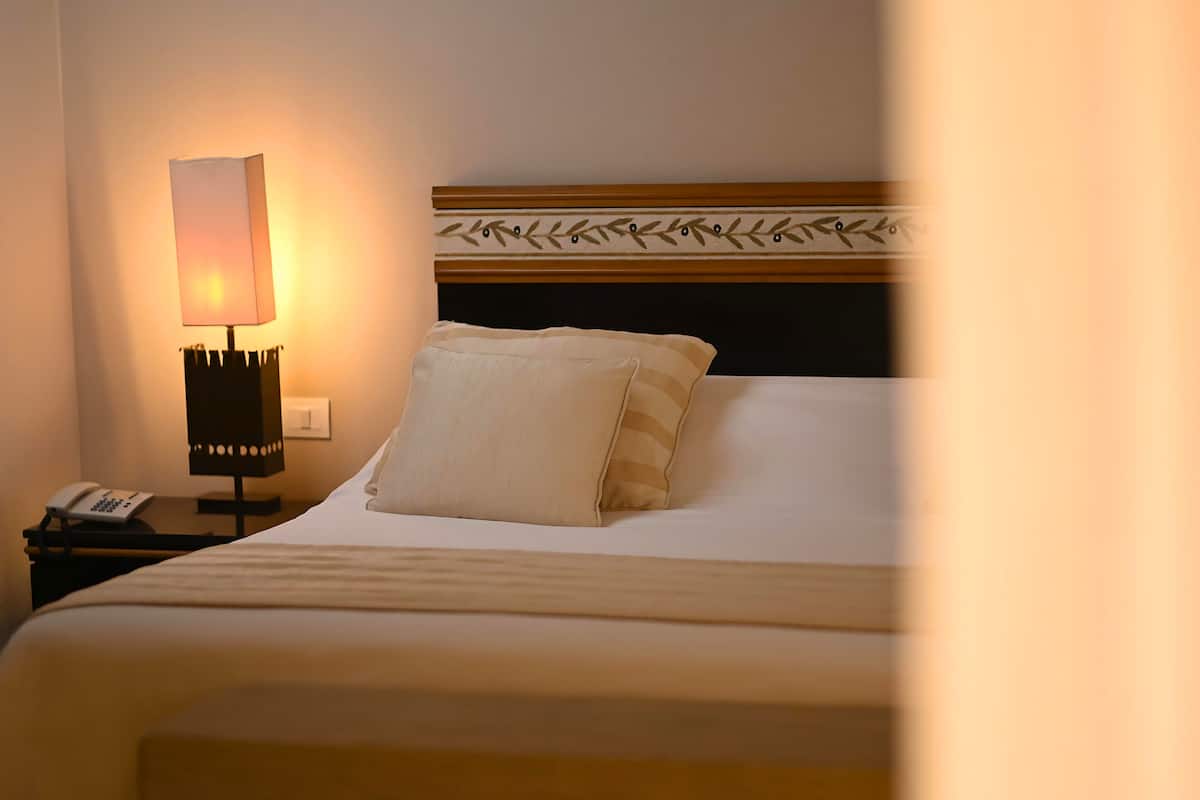 Camera singola | Biancheria da letto di alta qualità, minibar, una cassaforte in camera