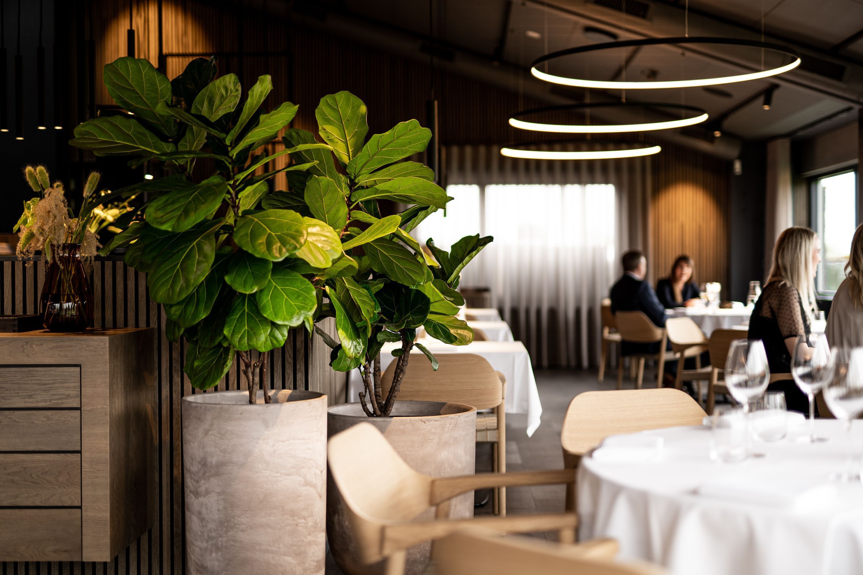 3 restaurants, breakfast, lunch, dinner served; regional cuisine