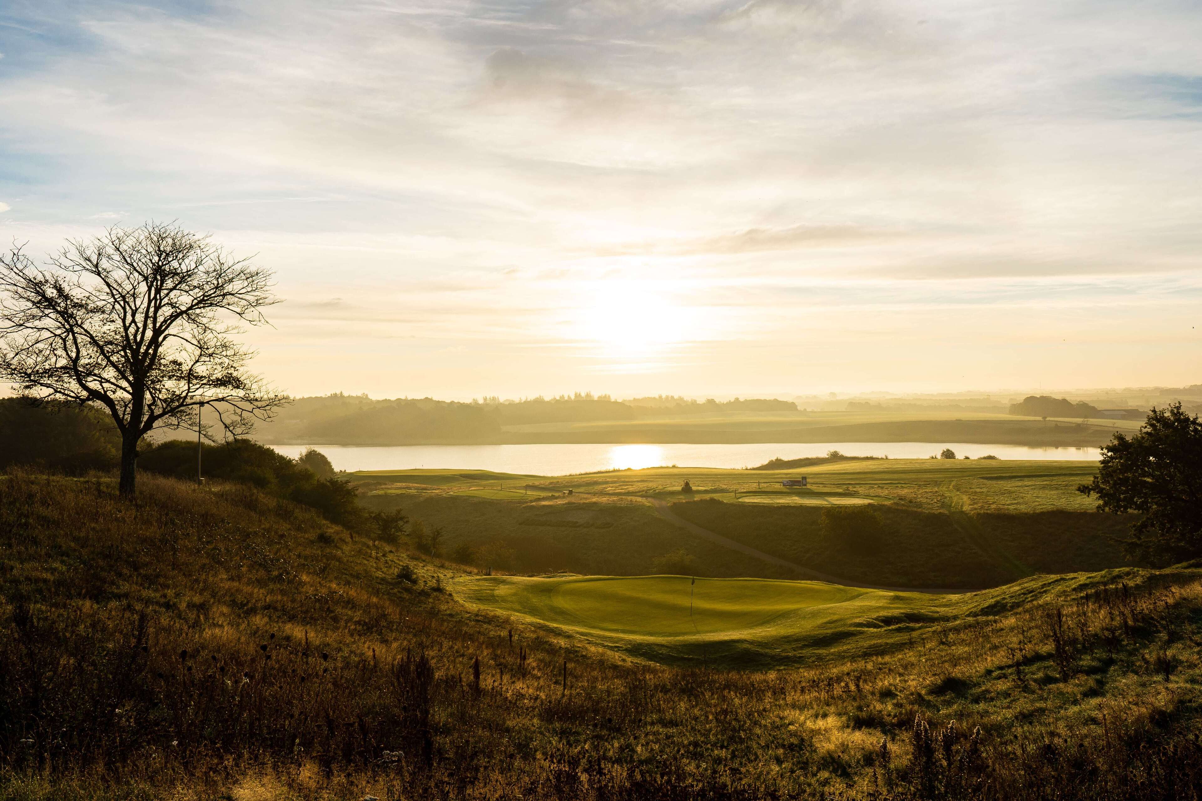 A golf course with a tree in the foreground, a body of water in the background, and a clear sky.