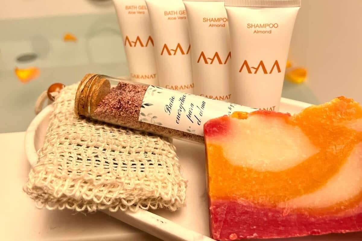 deluxe double room | bathroom | free toiletries, hair dryer, bidet, towels