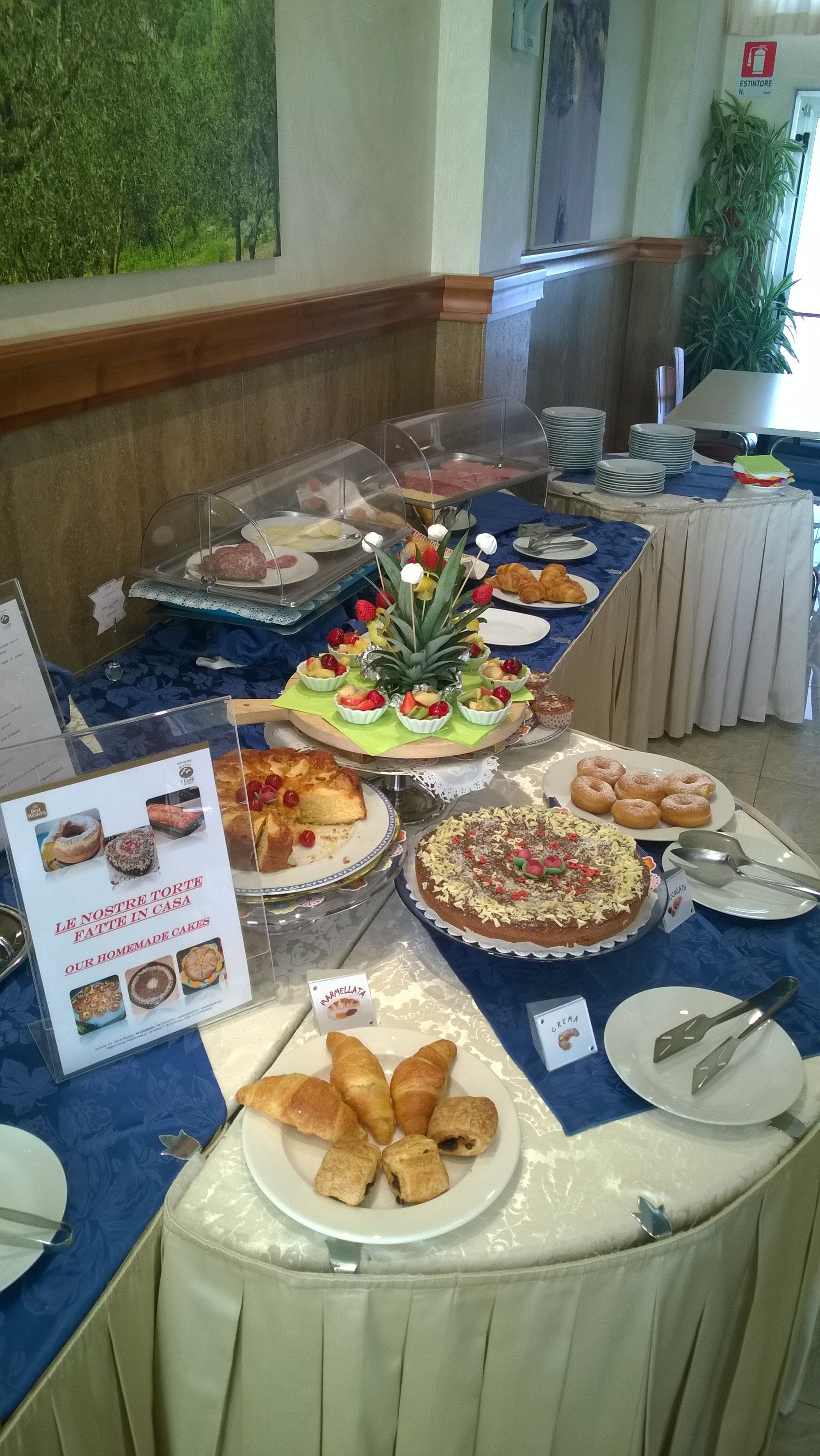 daily buffet breakfast (eur 8 per person)