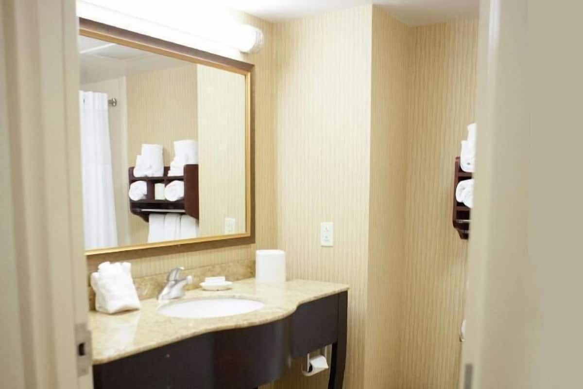 Bathroom | Combined shower/tub, free toiletries, hair dryer, towels