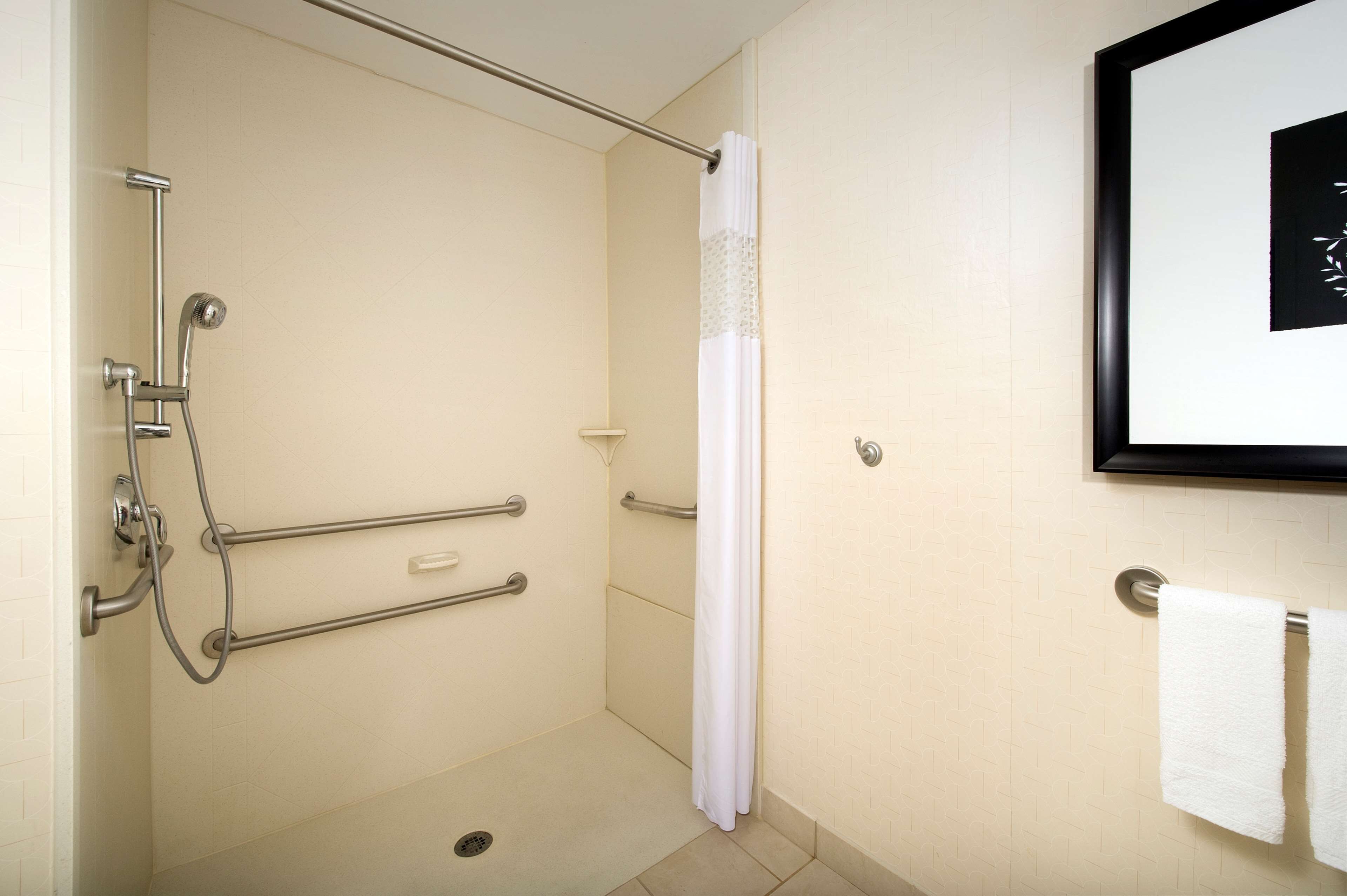 A bathroom with a shower, grab bars, a towel rack, and a framed picture on the wall.