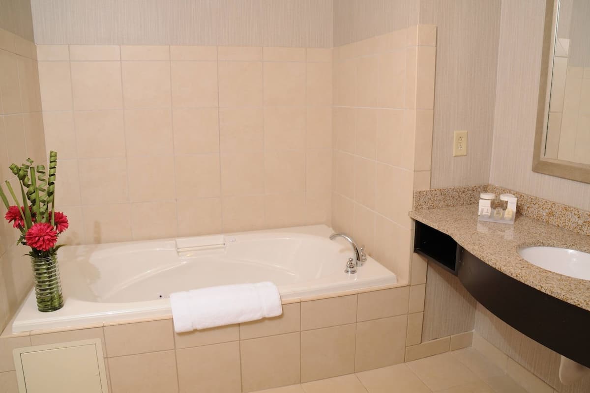 Salle de bain | Articles de toilette (gratuits), séchoir à cheveux, serviettes fournies