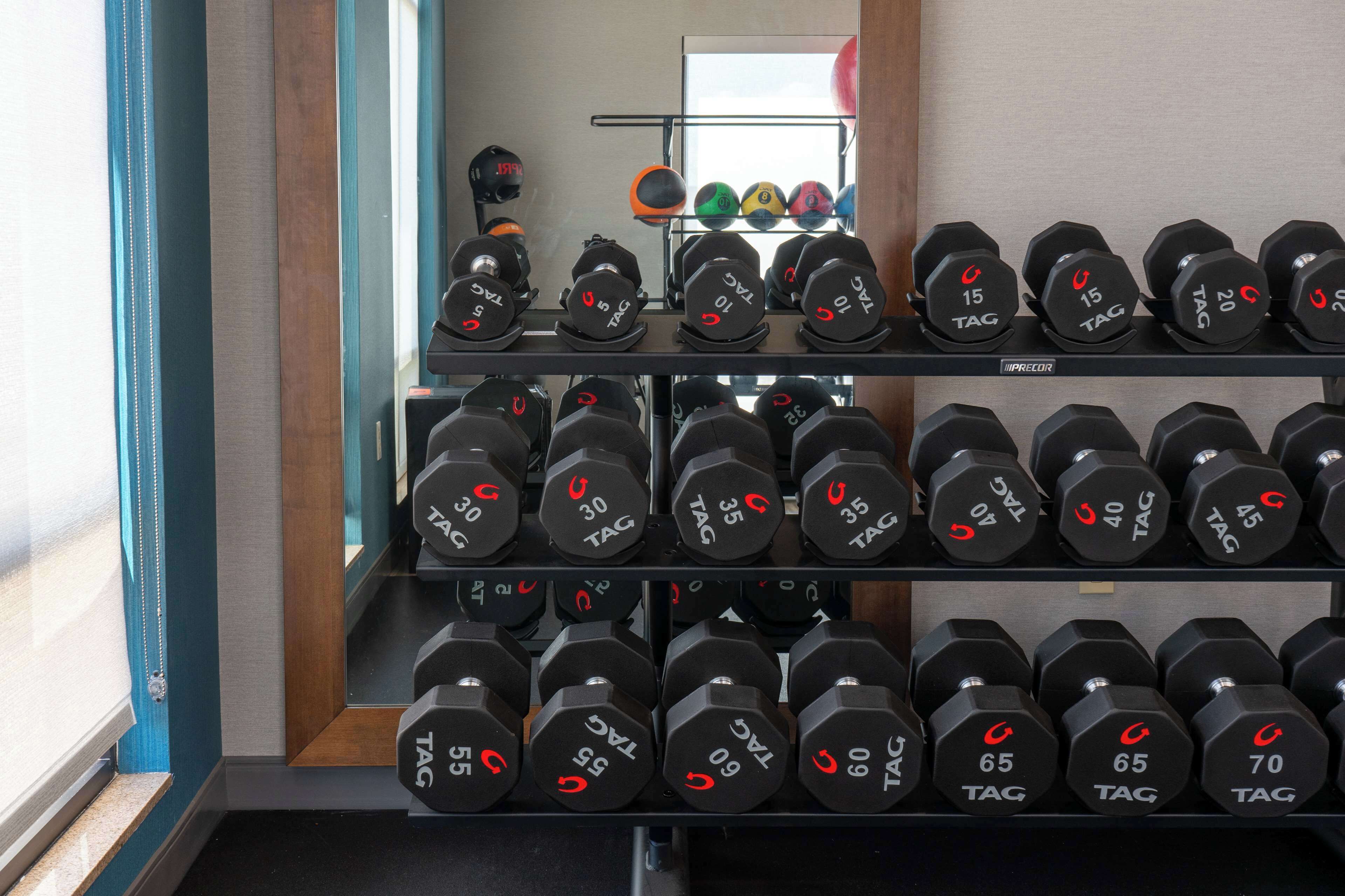 A rack of dumbbells with weights ranging from 5kg to 70kg.