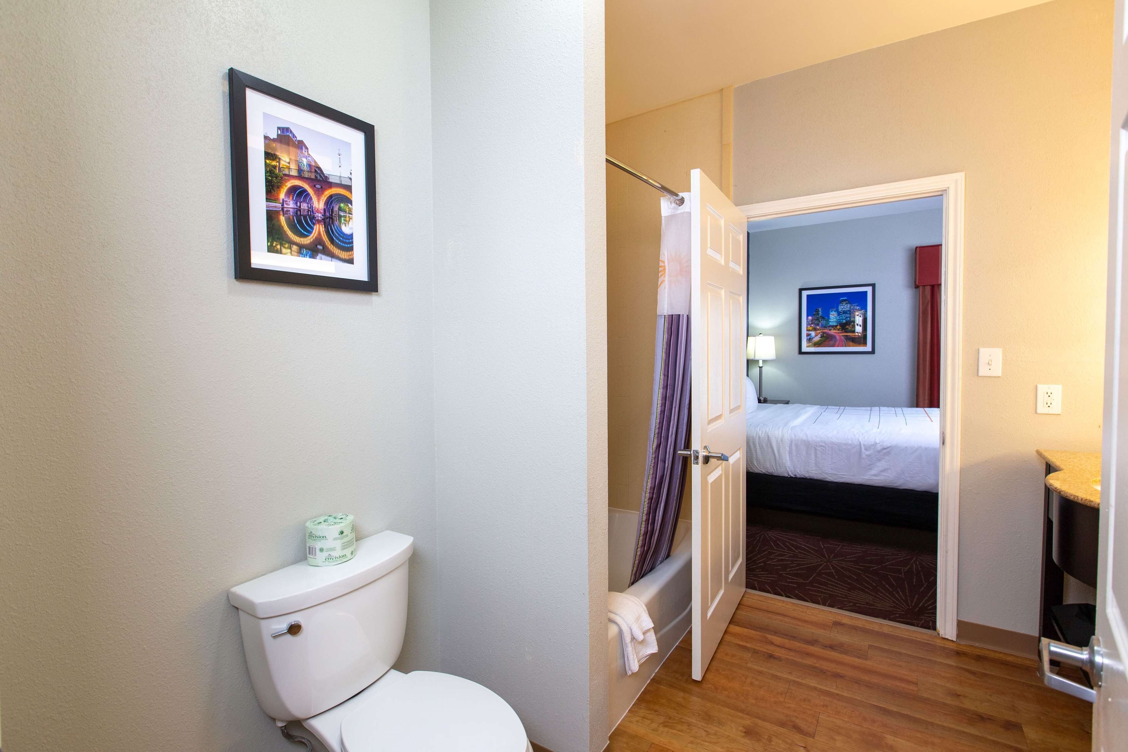 A bathroom with a toilet, a shower curtain, and a framed picture on the wall.