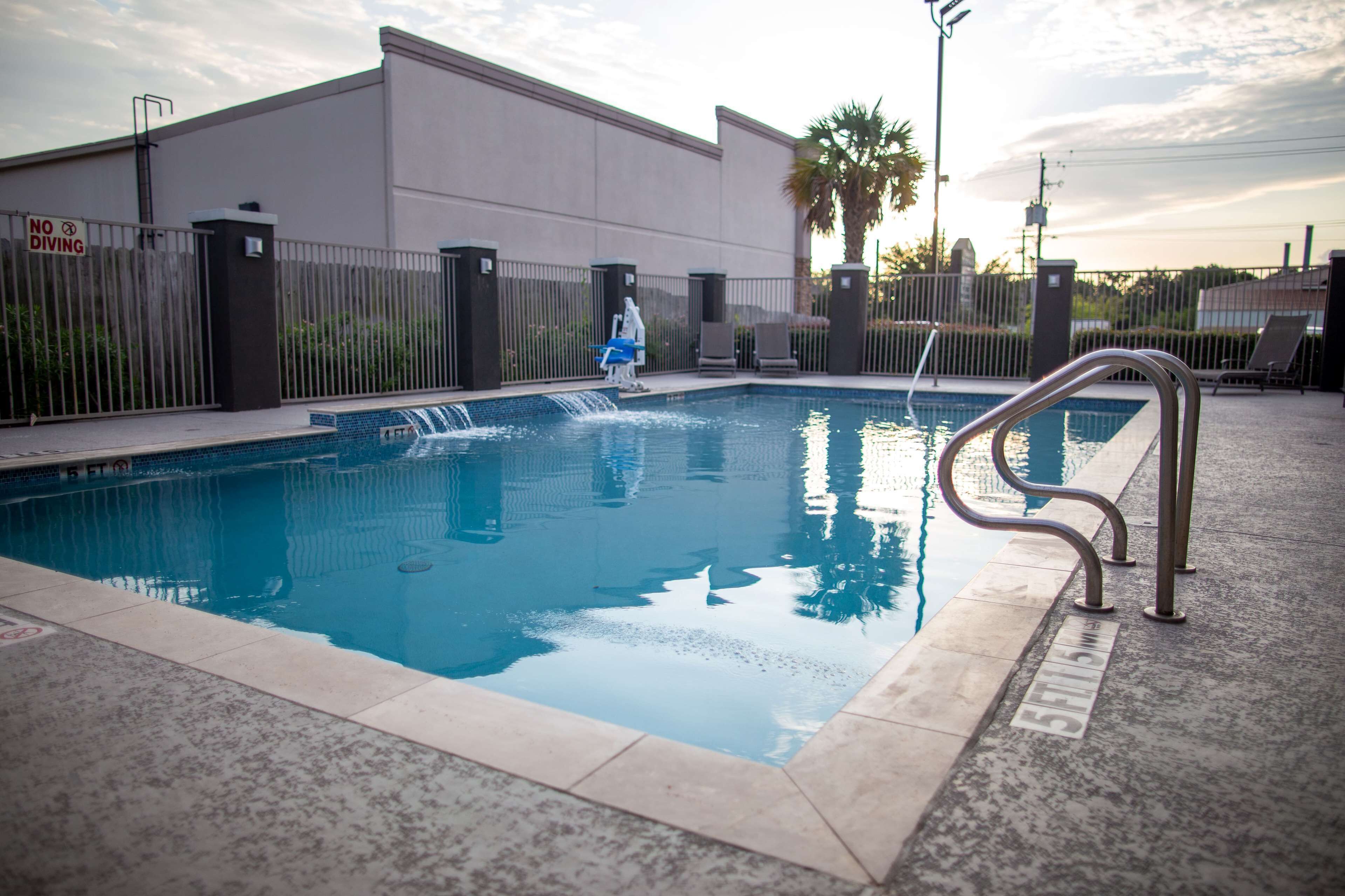 A swimming pool with a metal ladder, a 'No Diving' sign, and a palm tree in the background.