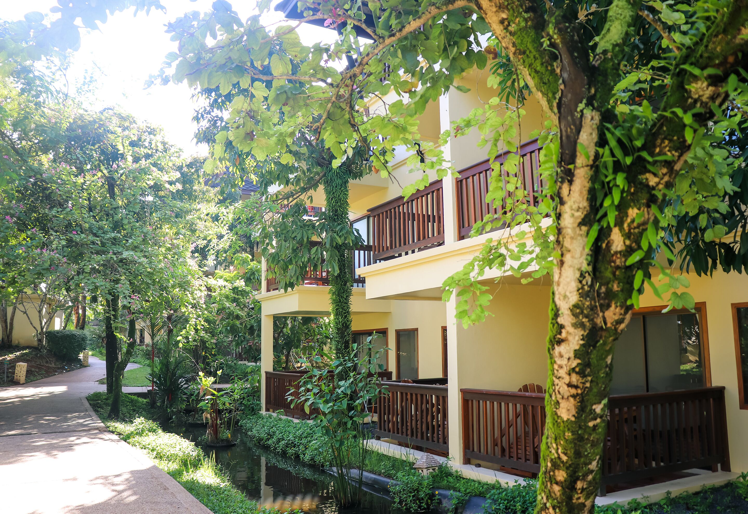 Foto - Seaview Resort Khao Lak - SHA Plus