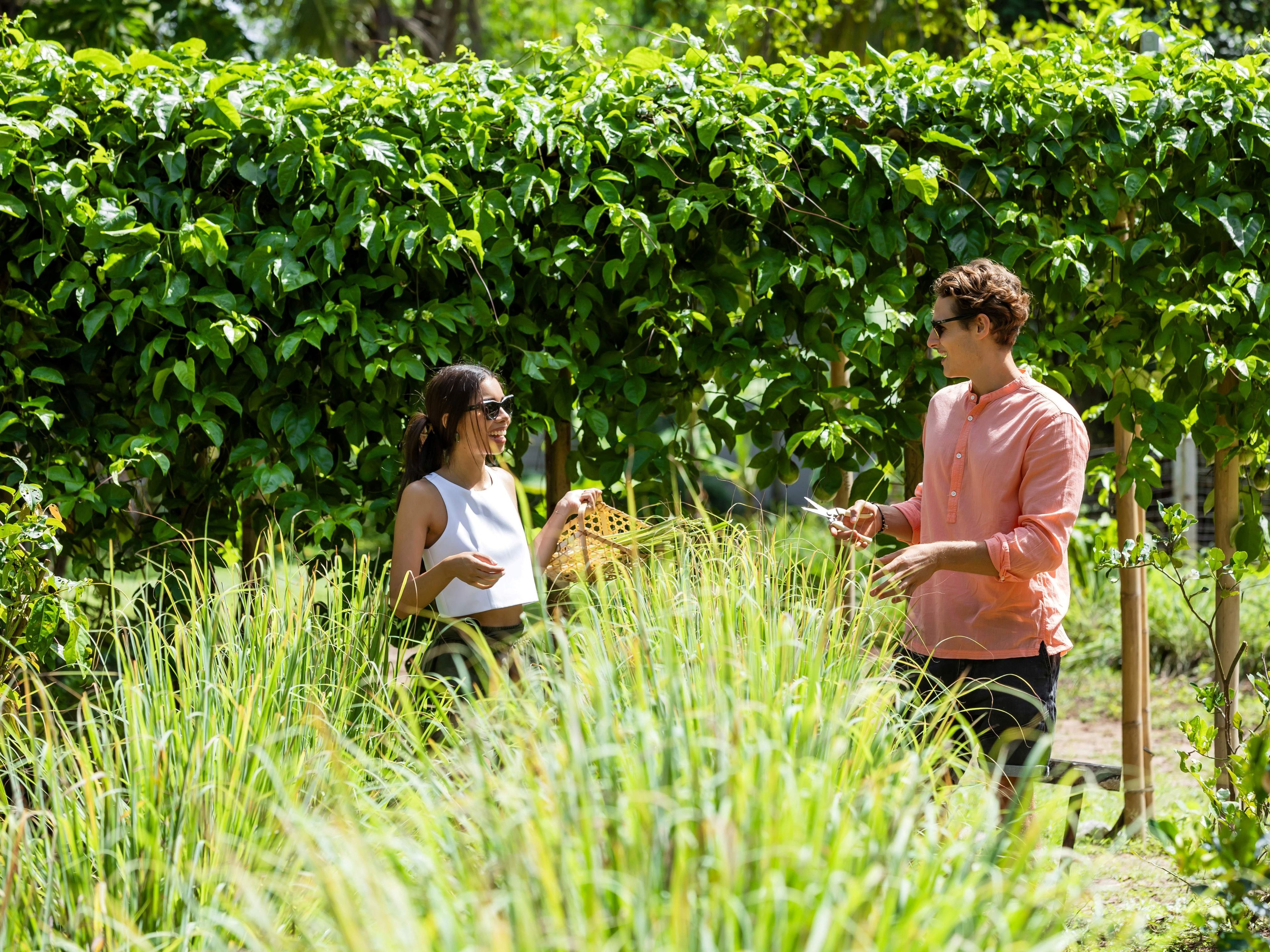 Un jardín con seto, un sendero y un banco.