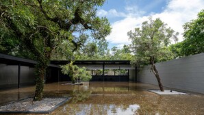 Un espace extérieur moderne agrémenté d’un élément aquatique décoratif, entouré d’arbres et d’une structure architecturale minimaliste.