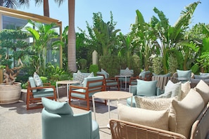 Terras