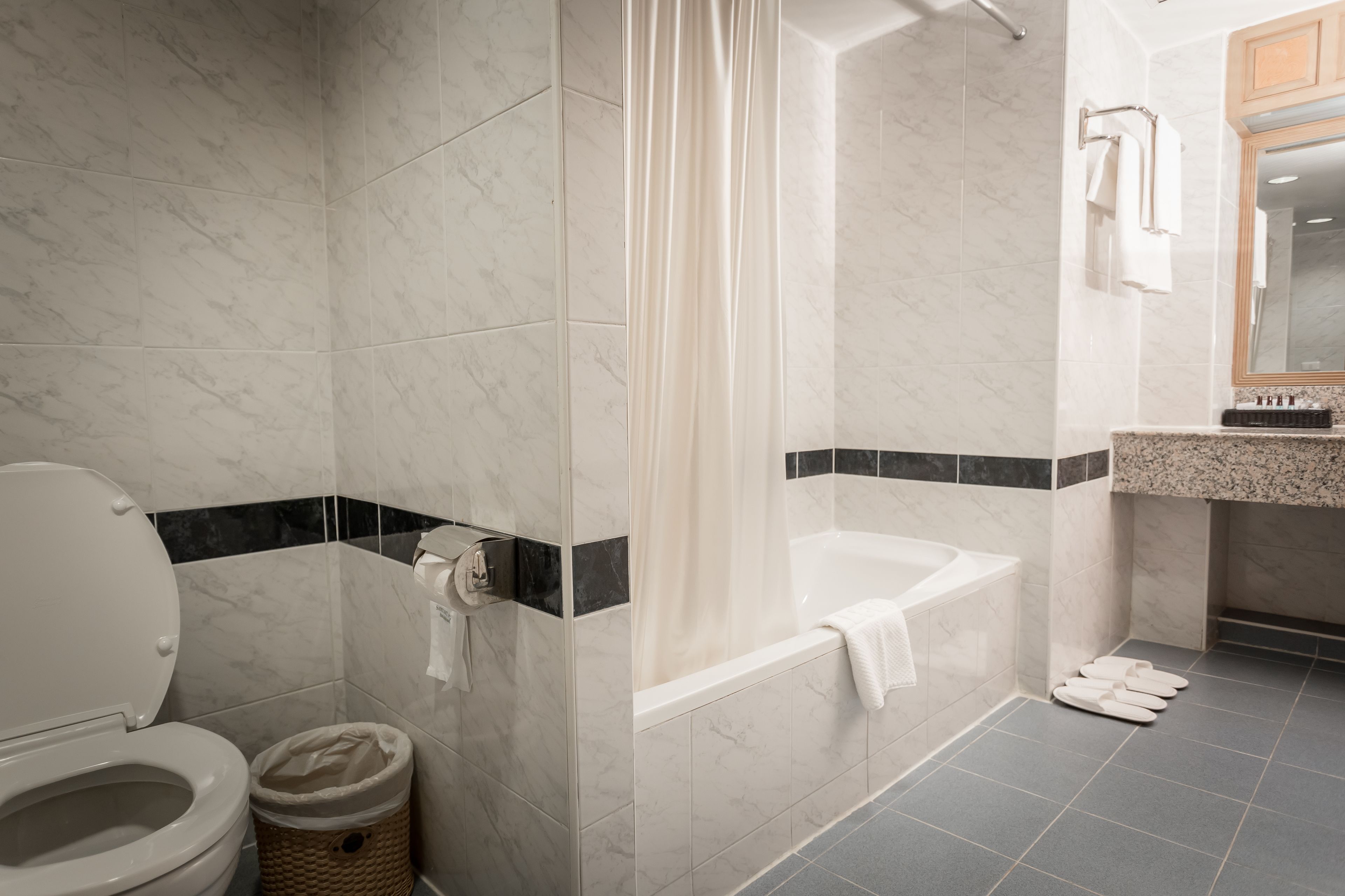 A bathroom with a toilet, shower, bathtub, and a sink with a mirror.